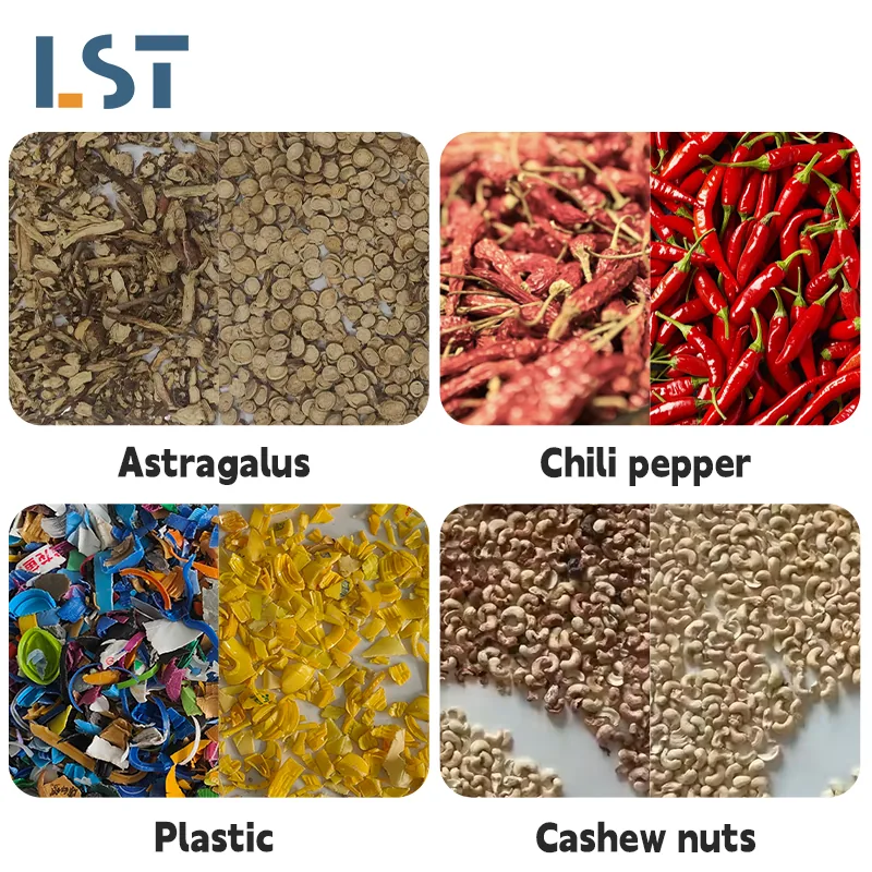 Sample grid with herbs, chili pepper, plastic pieces and cashew nuts for sorting review
